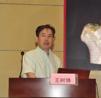 王樹峰