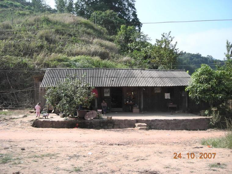 茶八队村