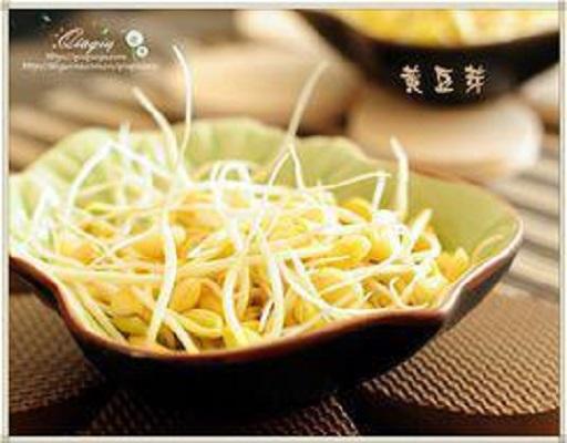 發(fā)黃豆芽