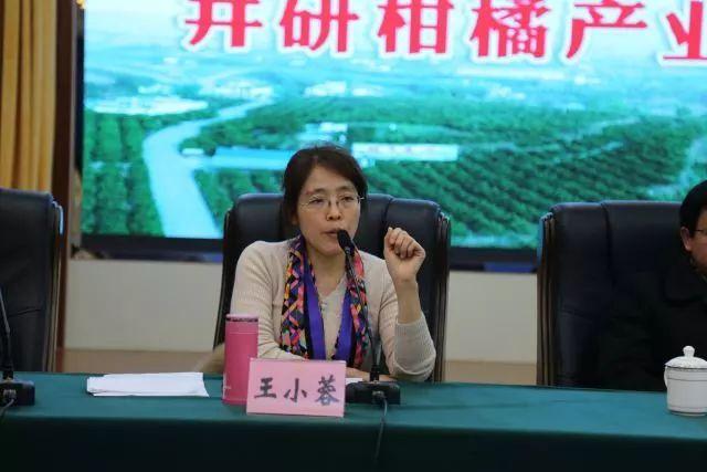 王小蓉