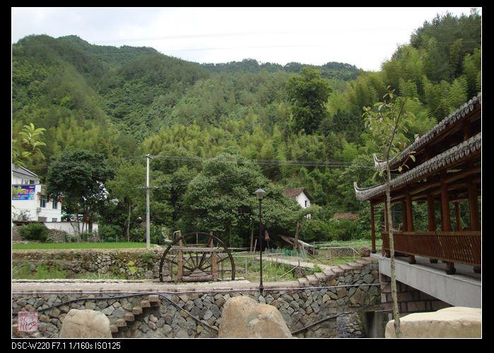 伏叶村