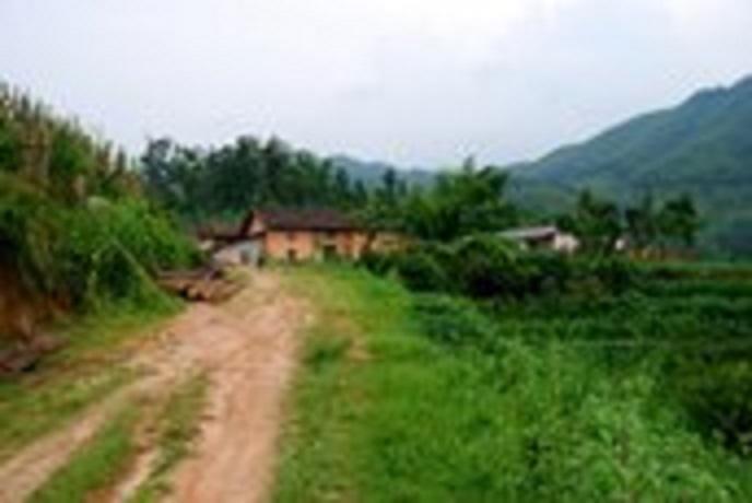 樟溪村