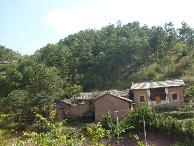 褚家村
