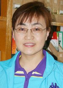 段智变