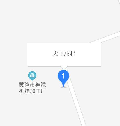 大王庄村