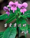 當(dāng)愛靠近時