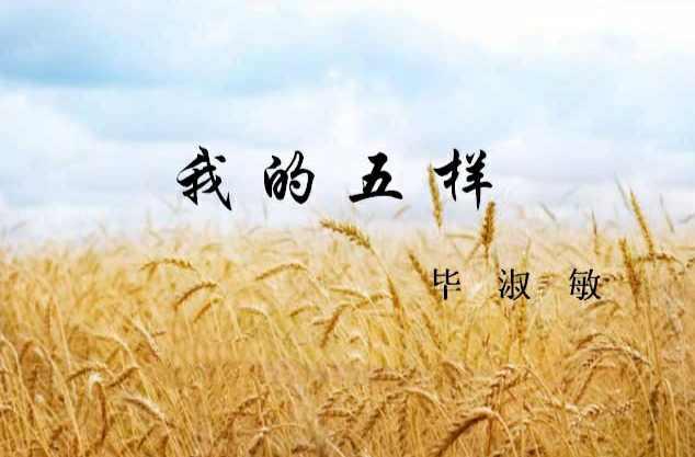 我的五样