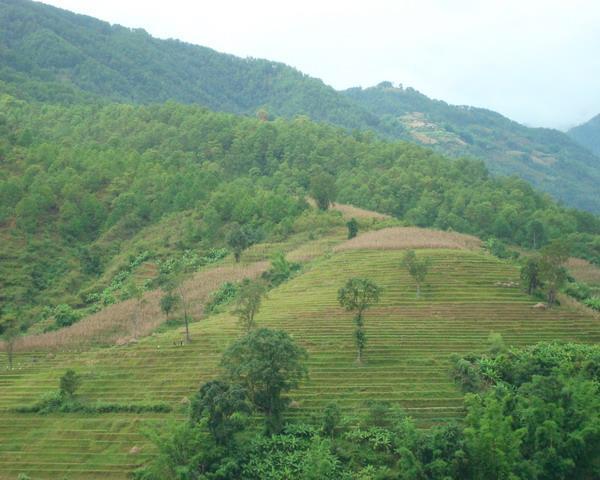 興利村