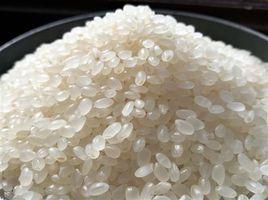 大米胚芽油
