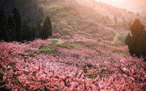 曉看紅濕處