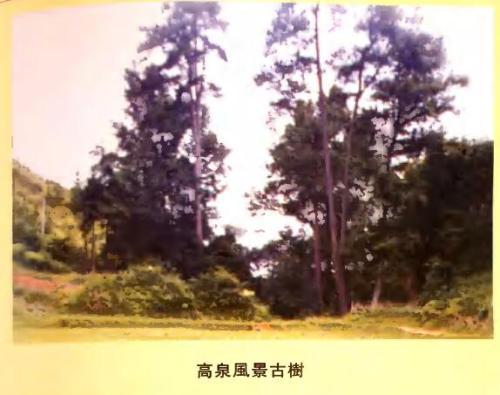 高泉村