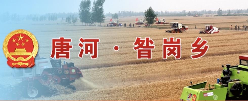 昝岗乡