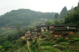 高山村