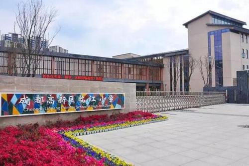 成都高新大源学校