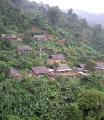坝洒村