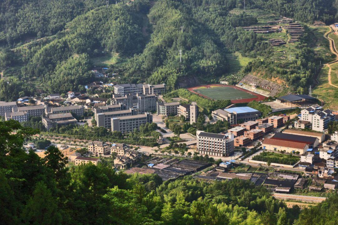張村村