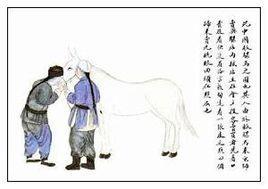 贩骡马