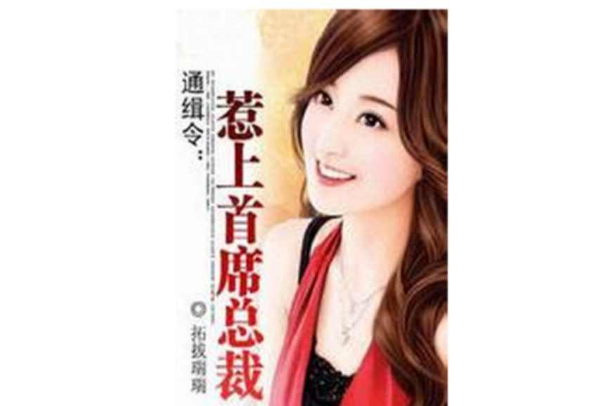 通緝令：惹上首席總裁