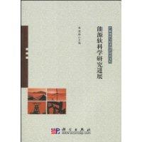 能源软科学研究进展