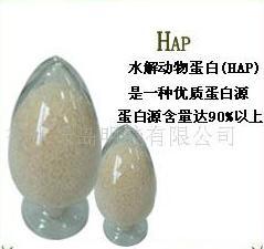 明胶蛋白