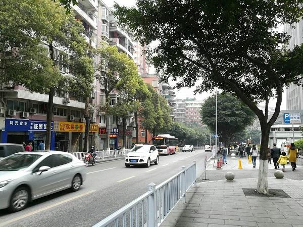 天星橋街道