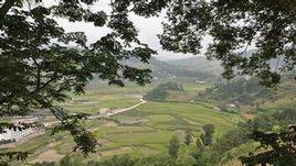 屯上村