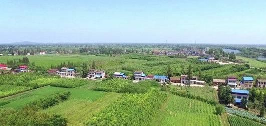 臨清村