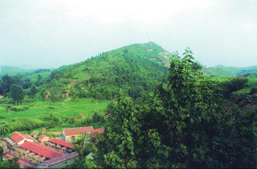 铜山村