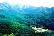 大基山北朝摩崖刻石