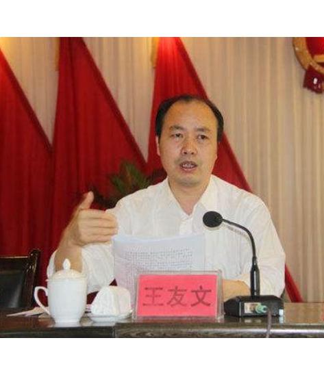 王友文