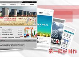 商业网站设计