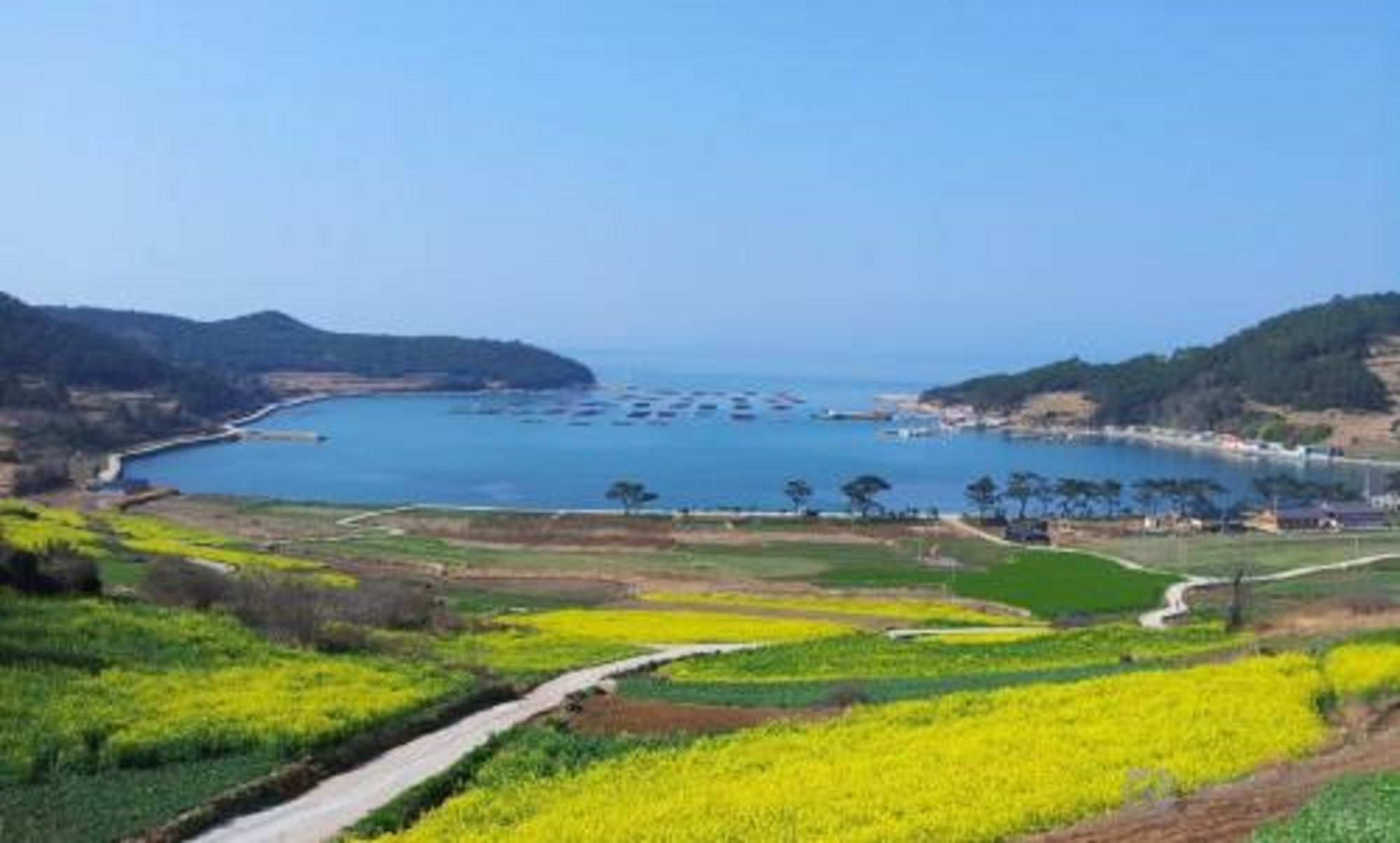 首页-青山岛海洋公园-中国龟岛