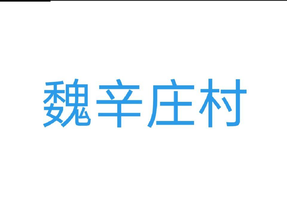 魏辛莊村