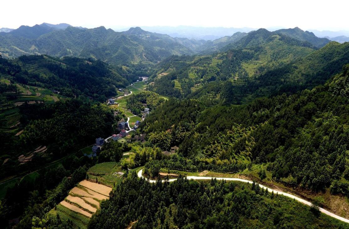 岑溪乡