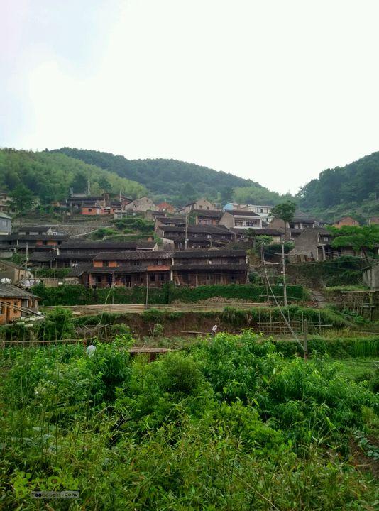 金山村