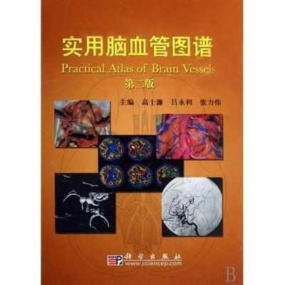 实用脑血管图谱