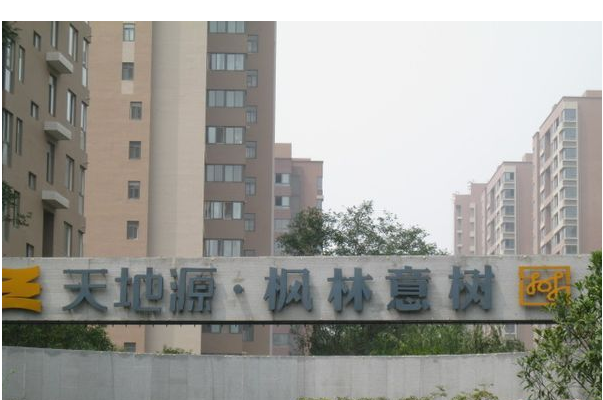 枫林意树
