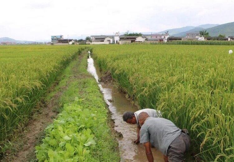 復(fù)興村