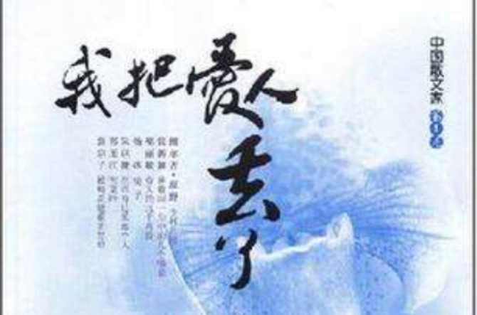我把爱人丢了