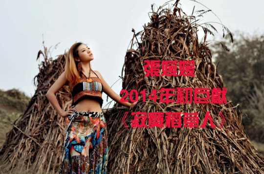寂寞稻草人