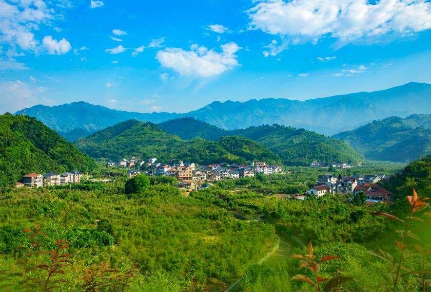 朱湾村