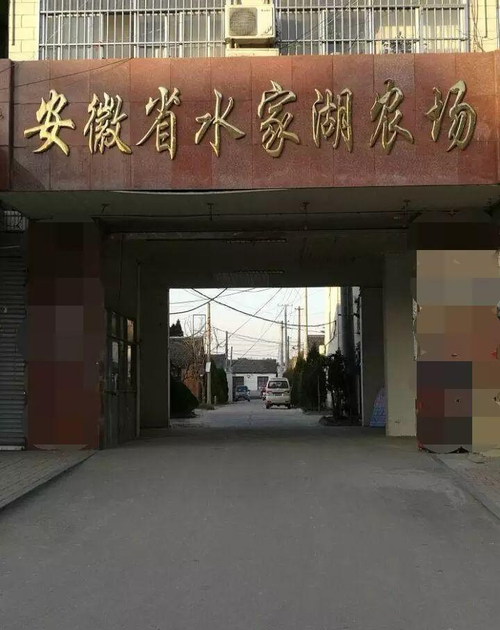 水家湖农场