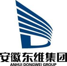安徽东维集团