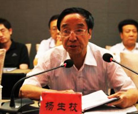 杨生枝