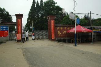 西高河村