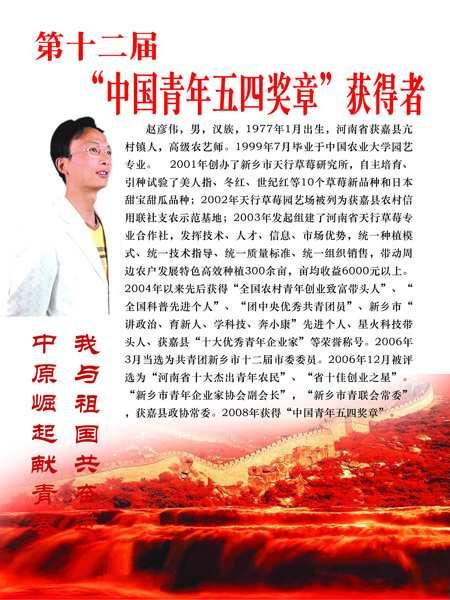 趙彥偉