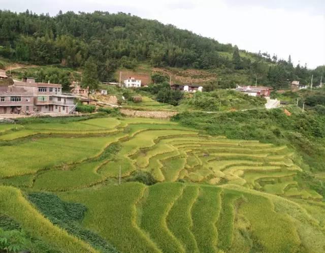 下坑村