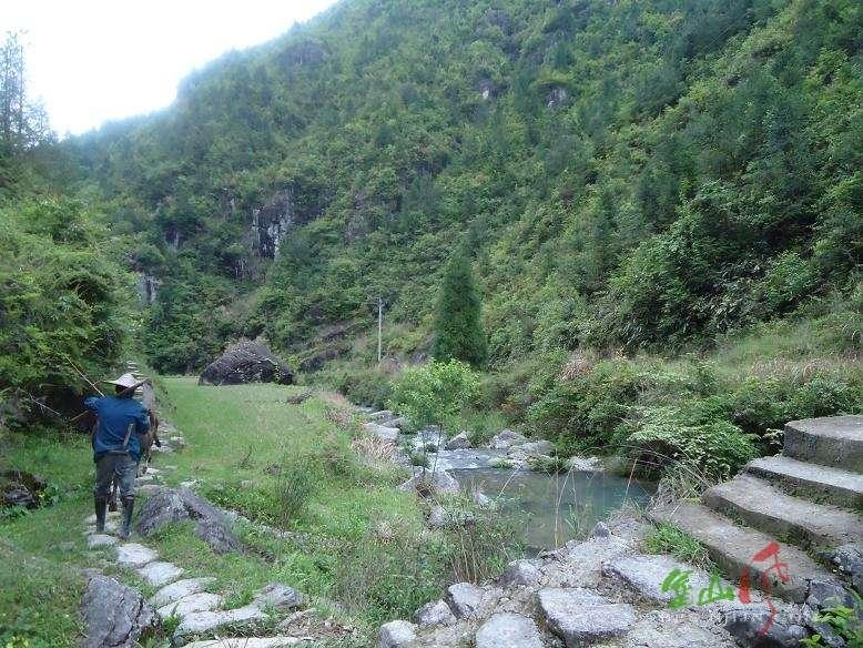 隆上村