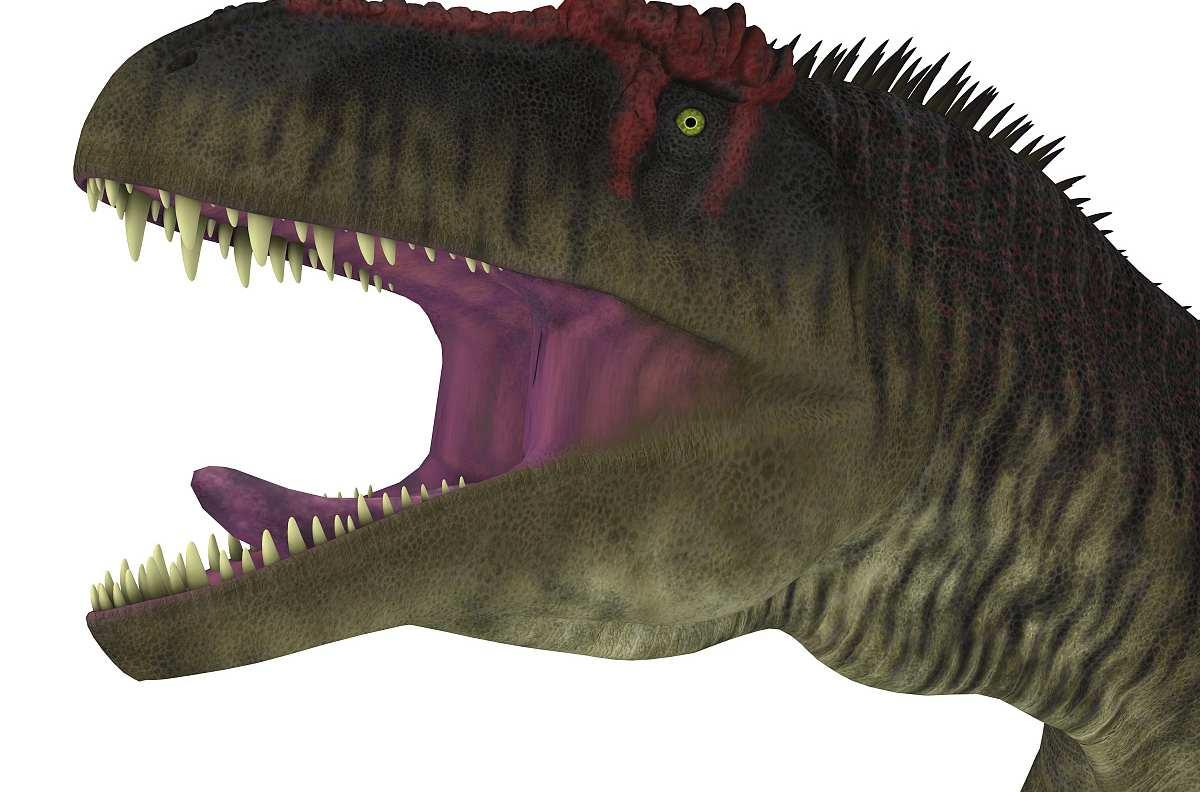 一只食肉恐龙张着嘴十分恐怖免抠PNG素材