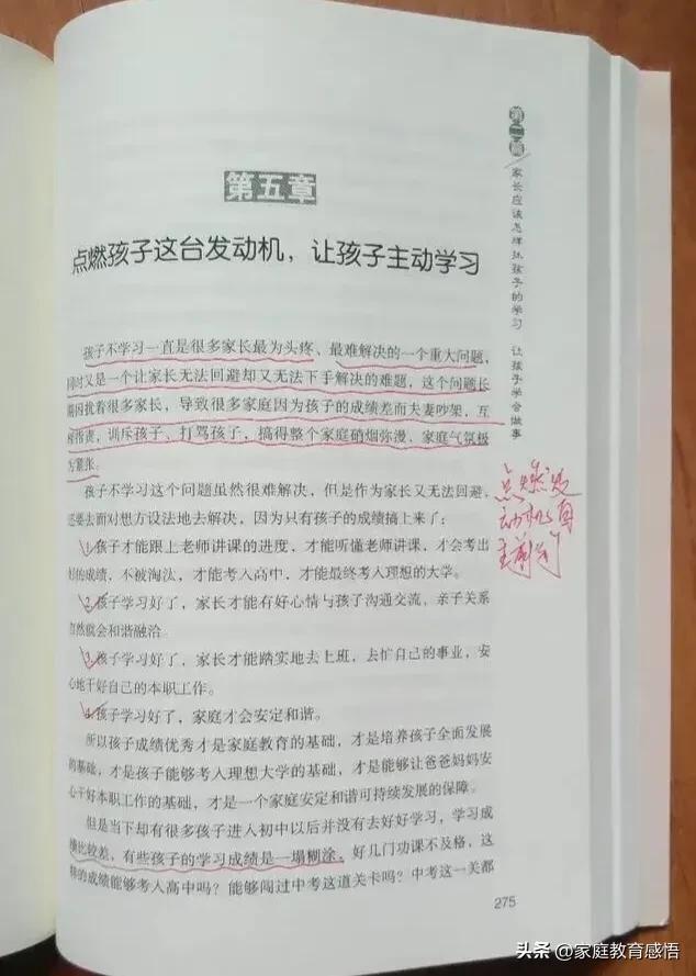 初升高50%升学率，没考上高中的孩子怎么办？